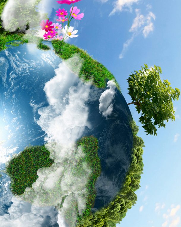 Verantwortung für die Umwelt Printhof Verantwortung für die Umwelt Printhof