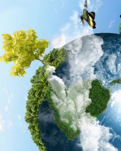 Verantwortung für die Umwelt
